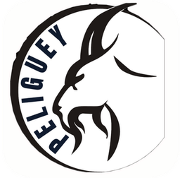 Escudo de LOS PELIGÜEY